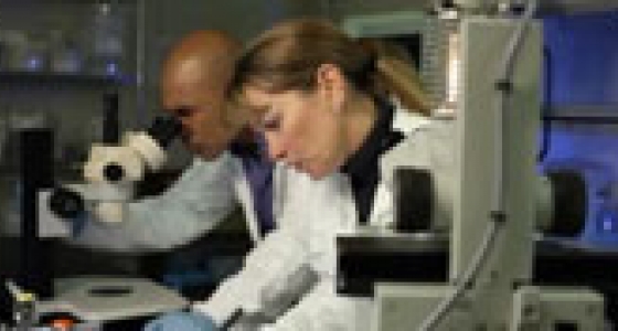 Merck Research Laboratories