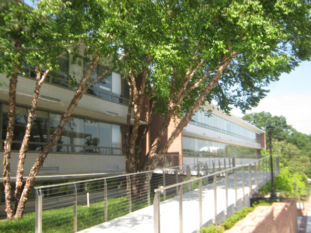 Georgia Institute of Technology, School of Mathematics and School of Industrial Systems and Engineering Georgia Institute of Technology, School of Mathematics and School of Industrial Systems and Engineering