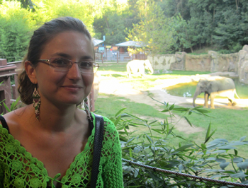 Andreea Erciulescu - NISS Research Associate Andreea Erciulescu - NISS Research Associate