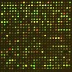 DNA microarray